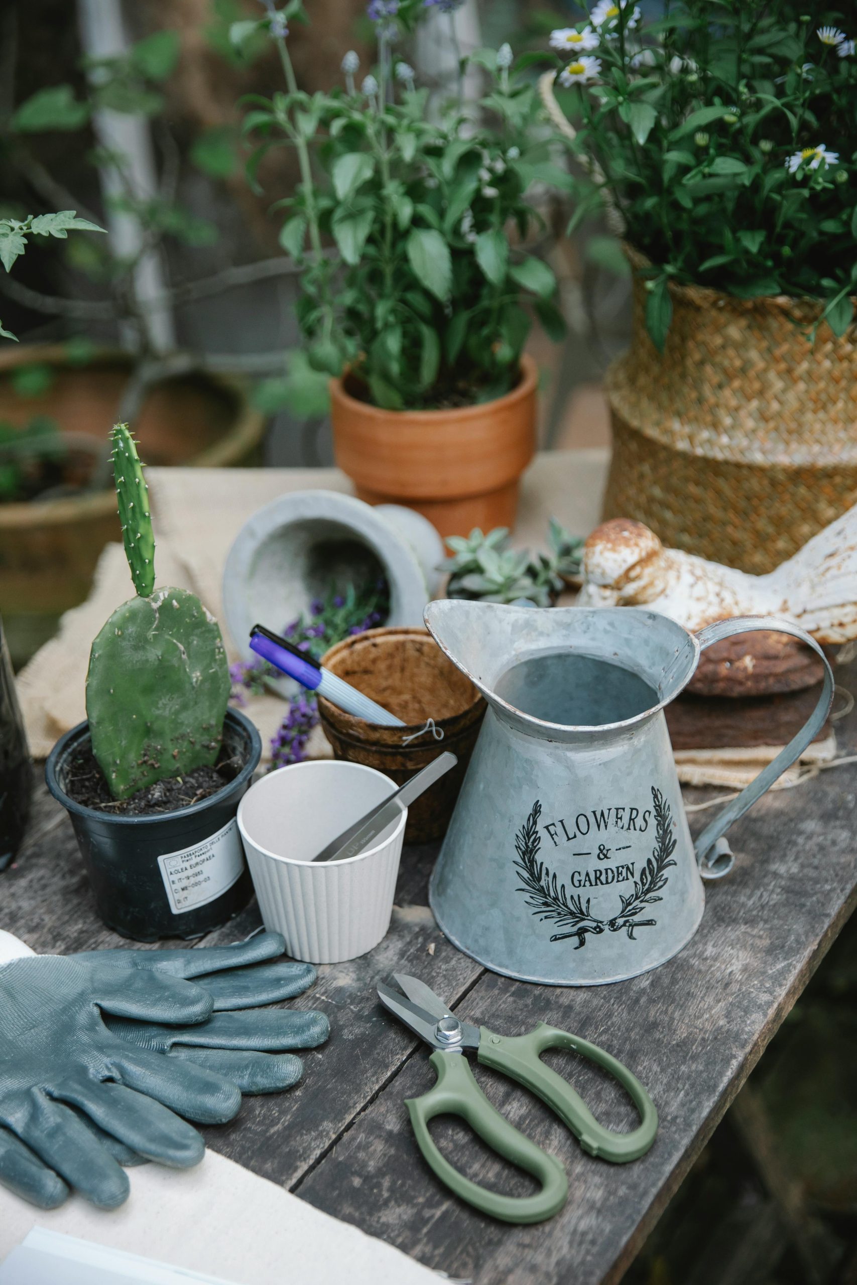Gardening Accessories