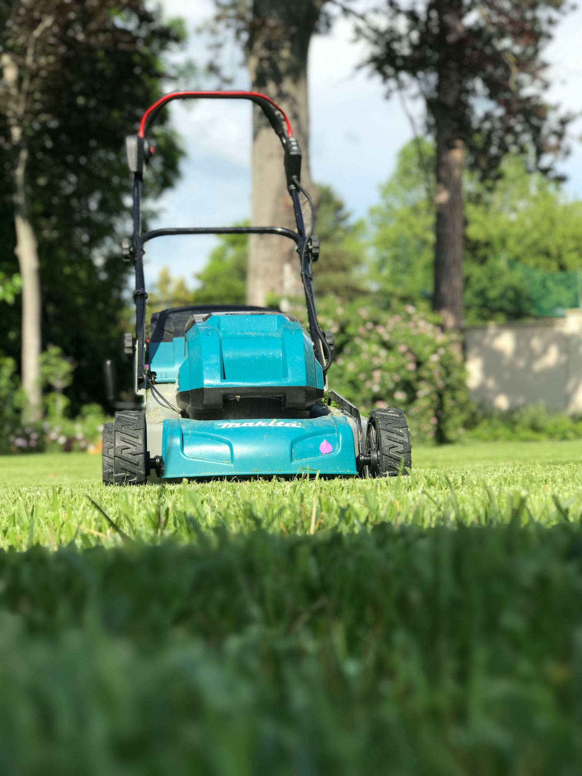 Lawn Mowers